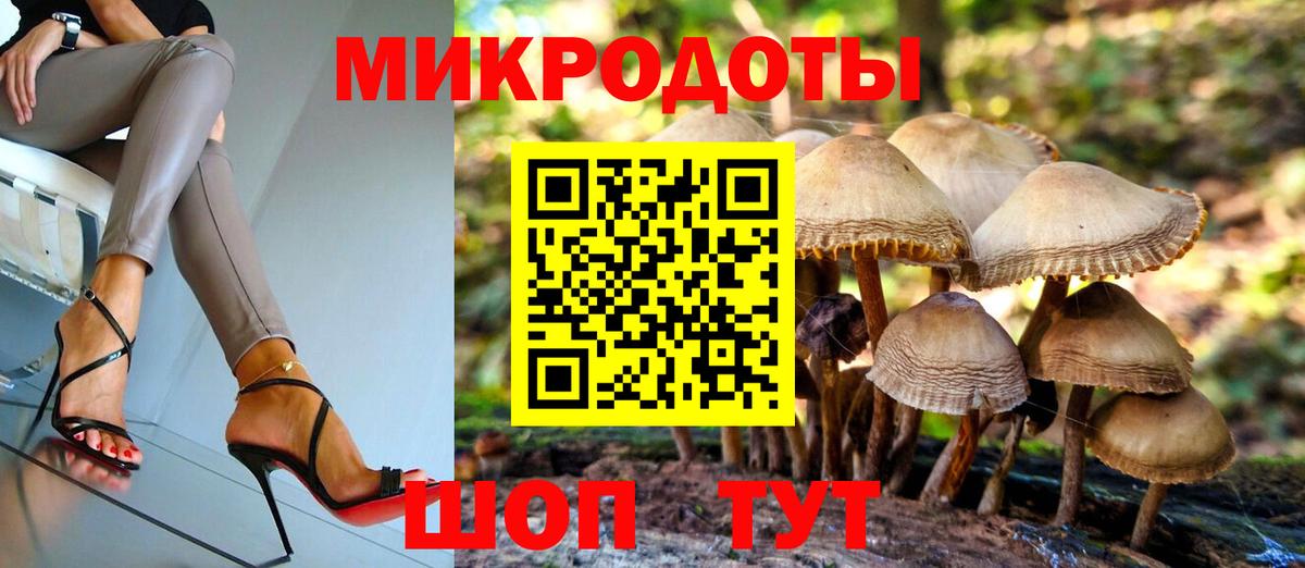 Псилоцибиновые грибы GOLDEN TEACHER Сибай