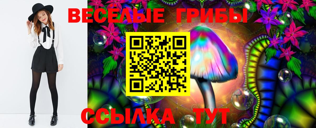 Галлюциногенные грибы GOLDEN TEACHER  Вход с VPN  Сибай 